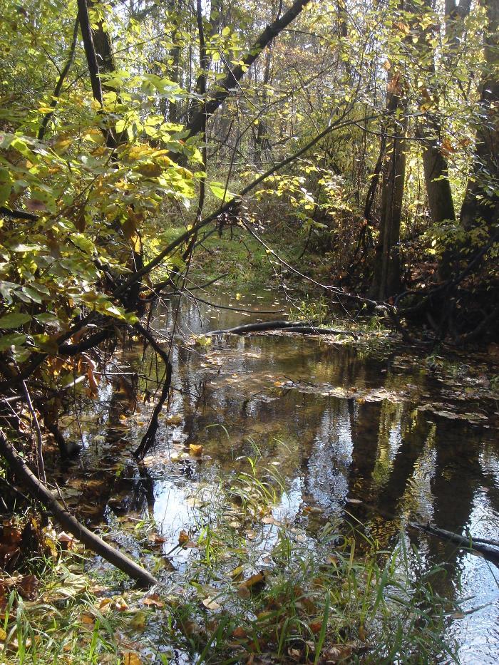 Birch Creek Nature Sanctuary