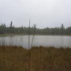 Lost Lake Nature Sanctuary